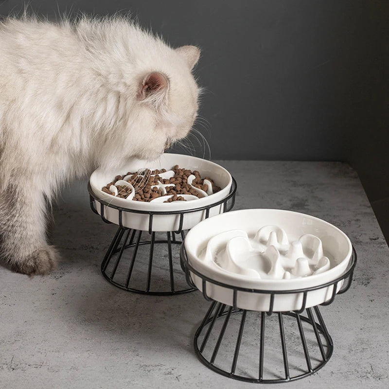 ÉlévaCéram™ – Gamelle Surélevée Anti-Glouton