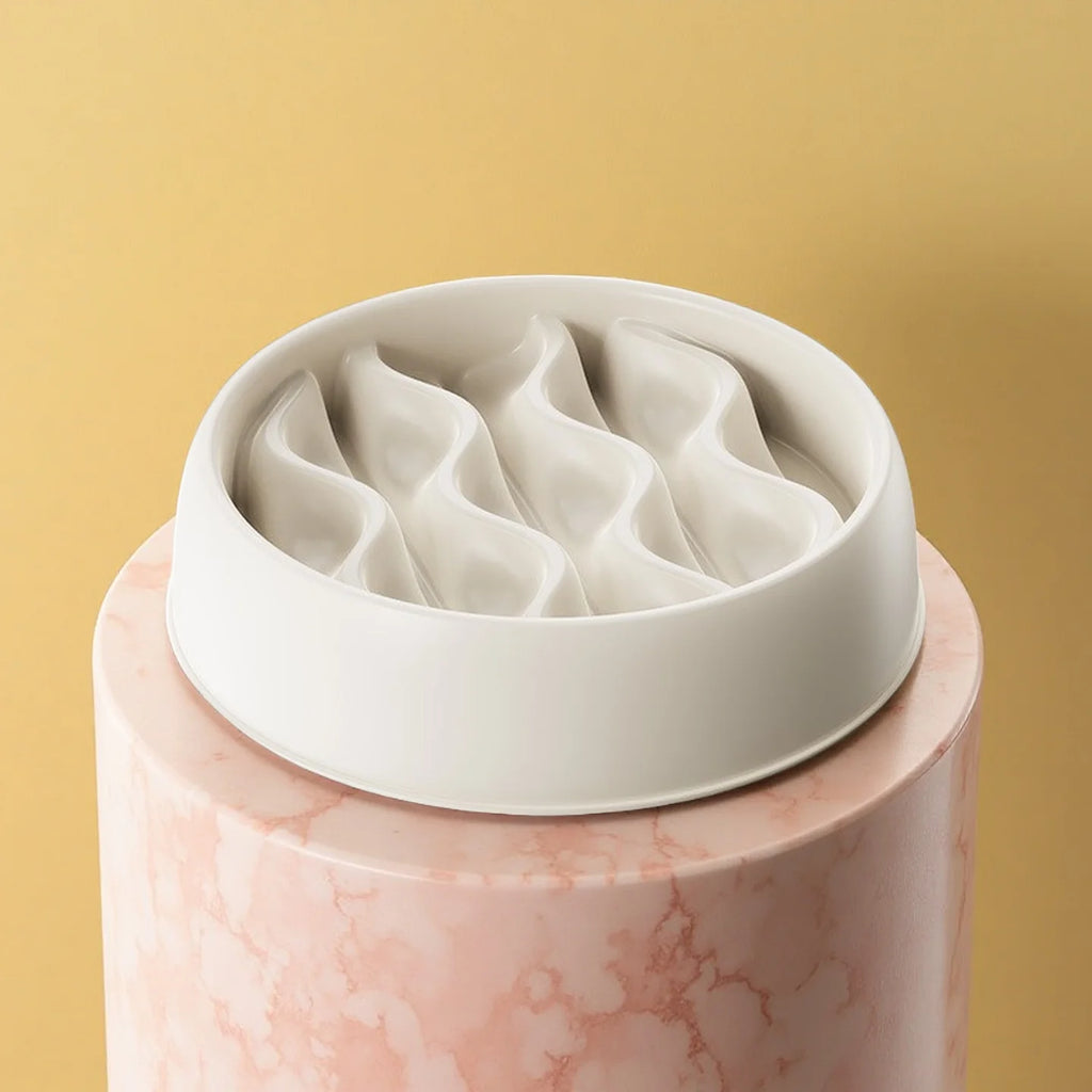 Solo CalmEat™ – Gamelle Anti-Glouton & Anti-Éclaboussures