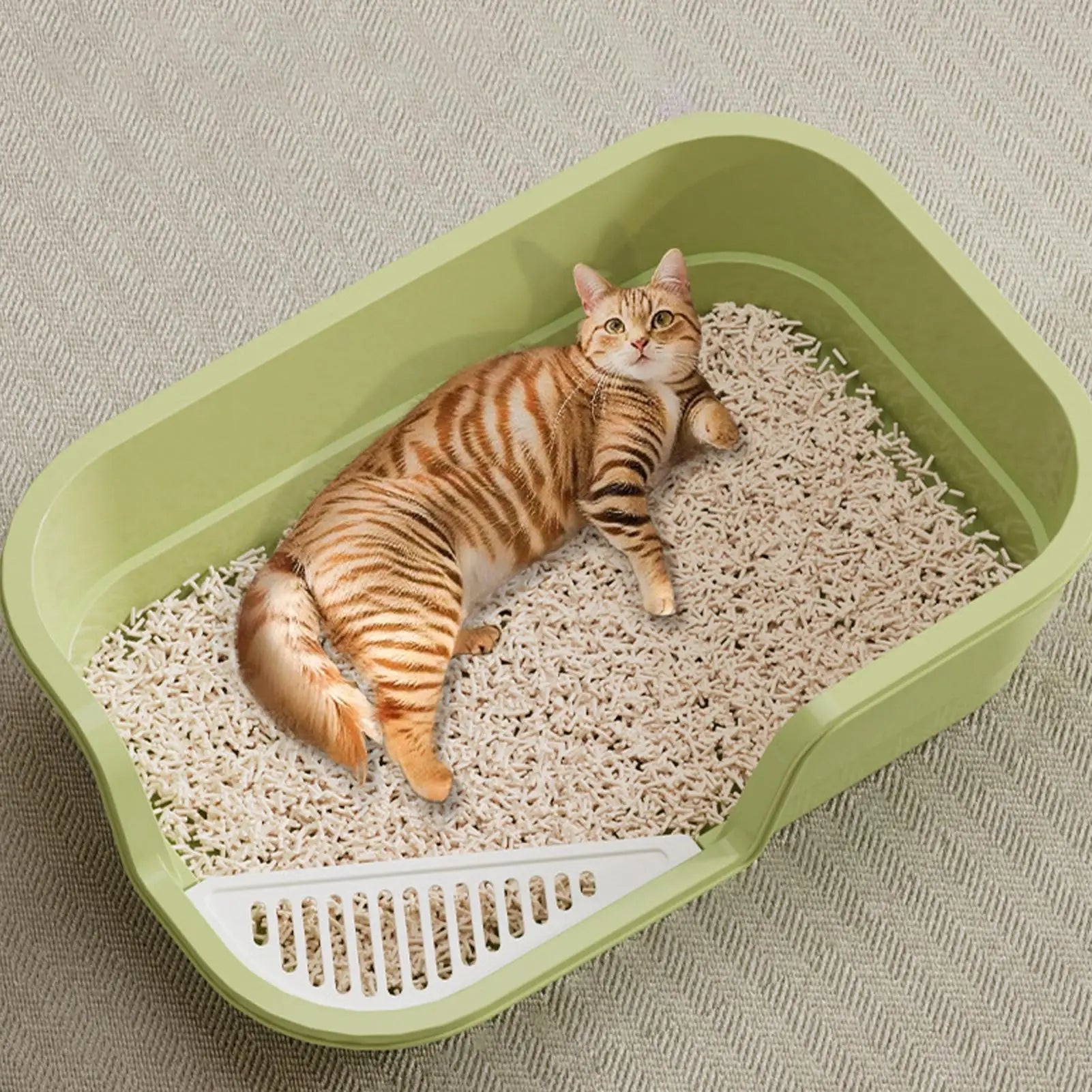 OpenClean™ – Litière Ouverte Grand Format