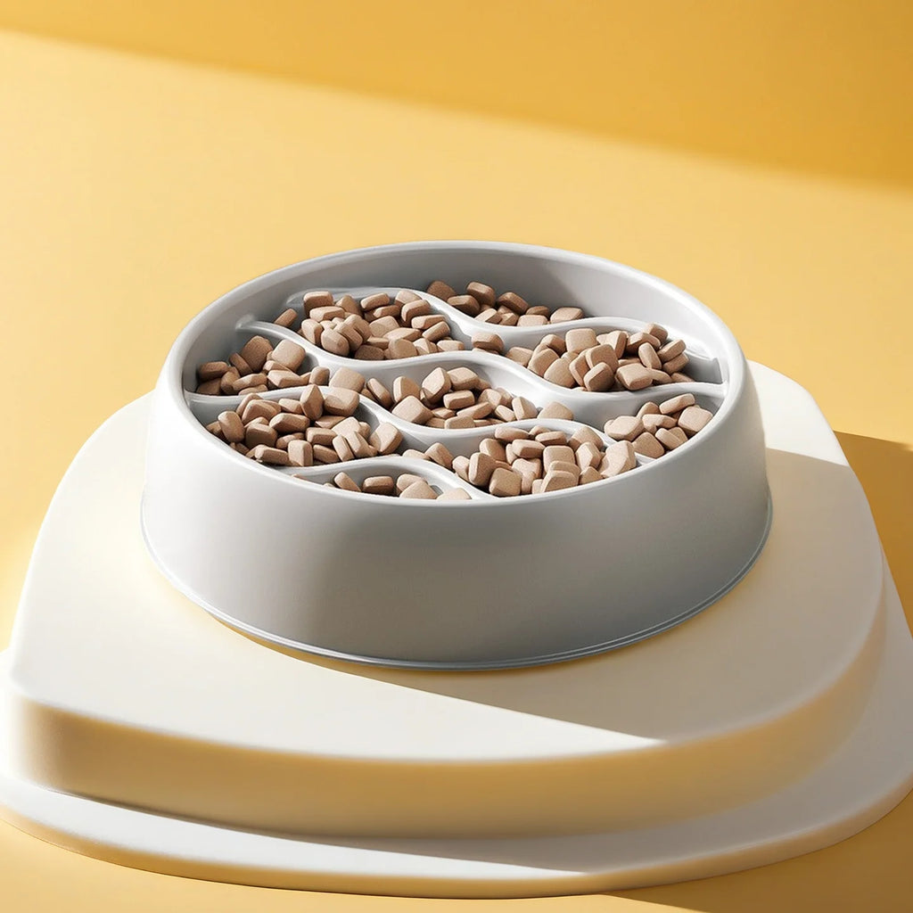 Solo CalmEat™ – Gamelle Anti-Glouton & Anti-Éclaboussures