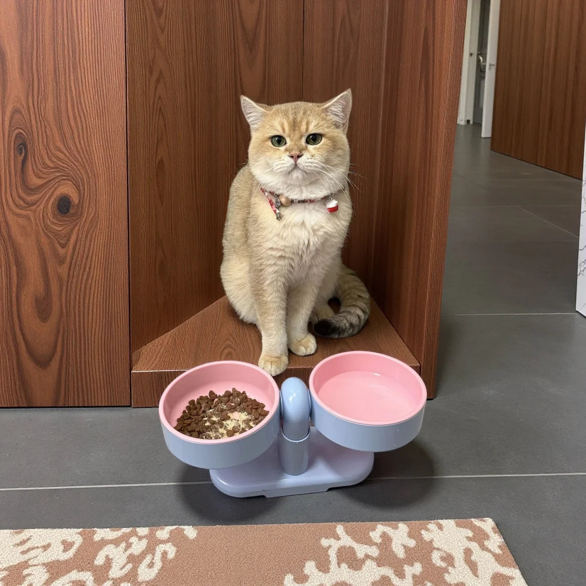 SPIN – Gamelle Double 360°