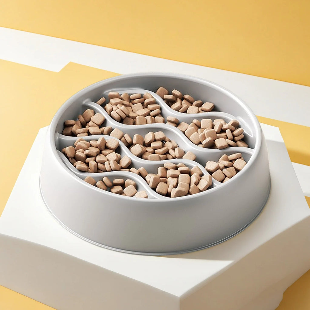 Solo CalmEat™ – Gamelle Anti-Glouton & Anti-Éclaboussures